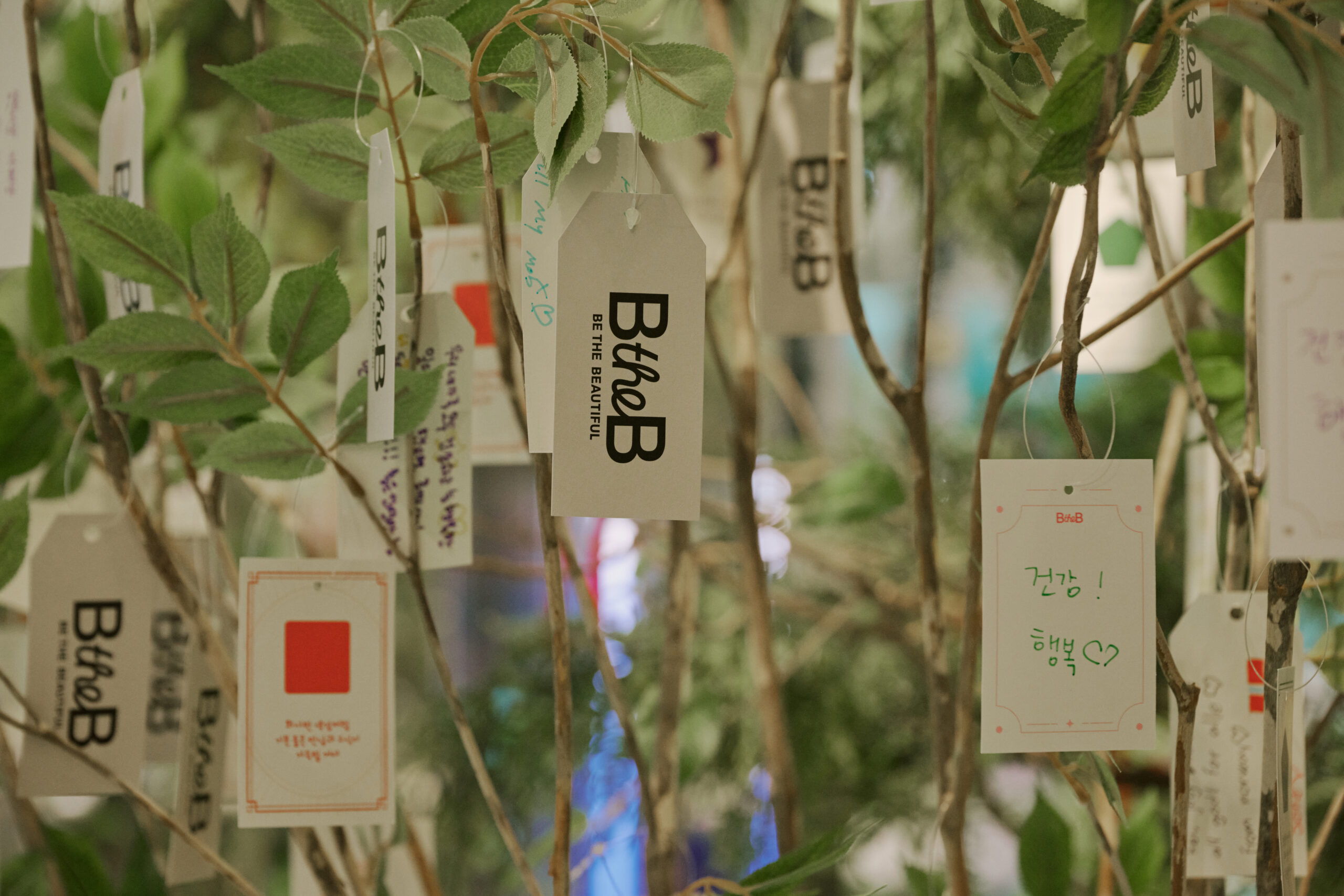 REST, RESET, REBEAUTY 서브 이미지
